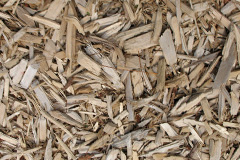 biomass boilers Cuidrach